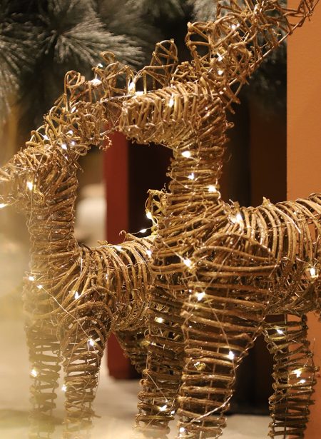 DECO (KERST) VERLICHTING